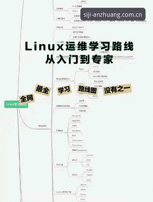四季官方入口使用体验：从入门到精通的实用技巧指南